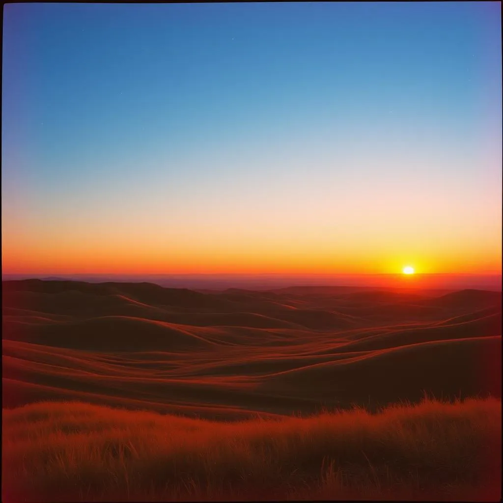 Skyward Rise