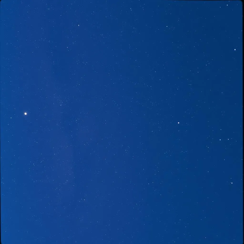 Stars