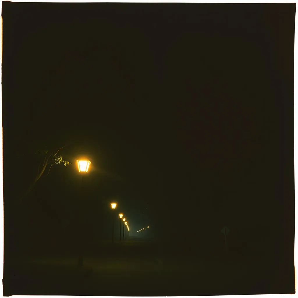 Midnight Revival