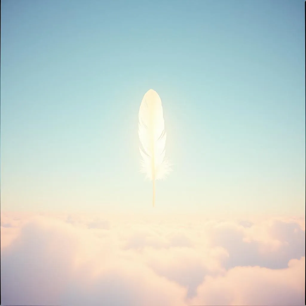 Vvvvvv