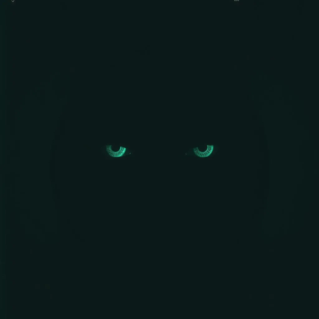 Everyone is watching me