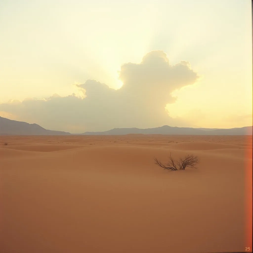 Finding God's Love and Grace