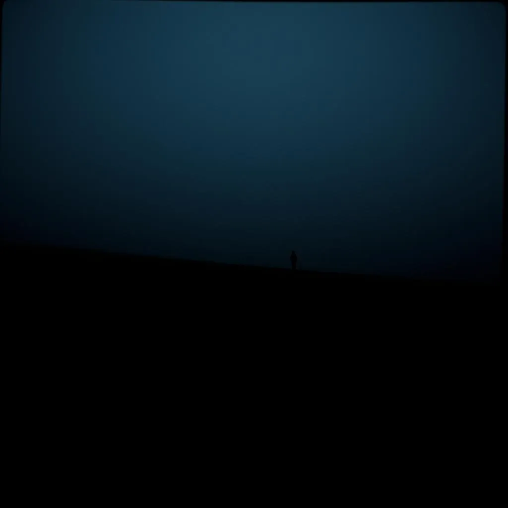 Shadows in the Night