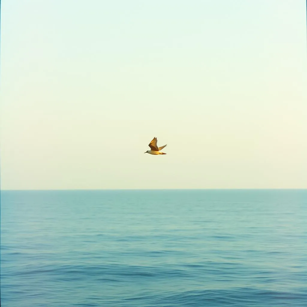 Be free