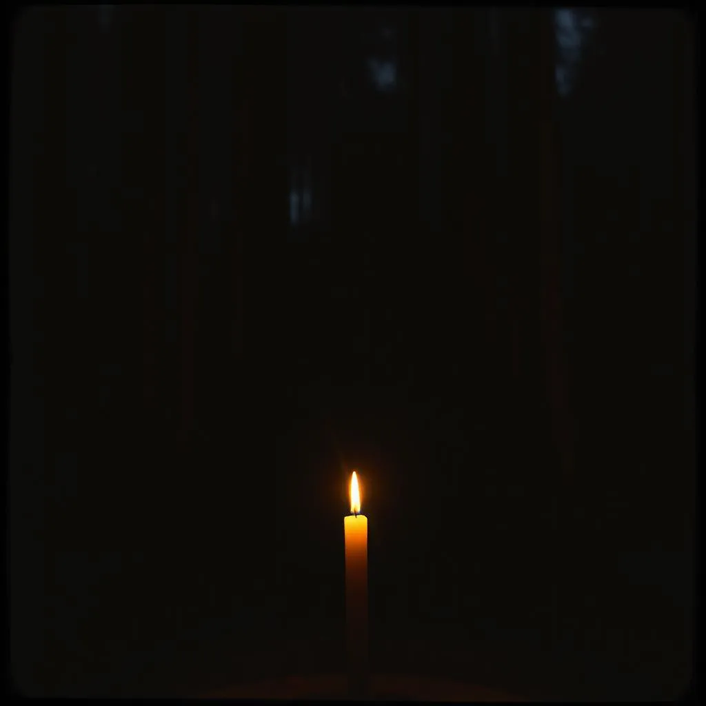 Shine for me