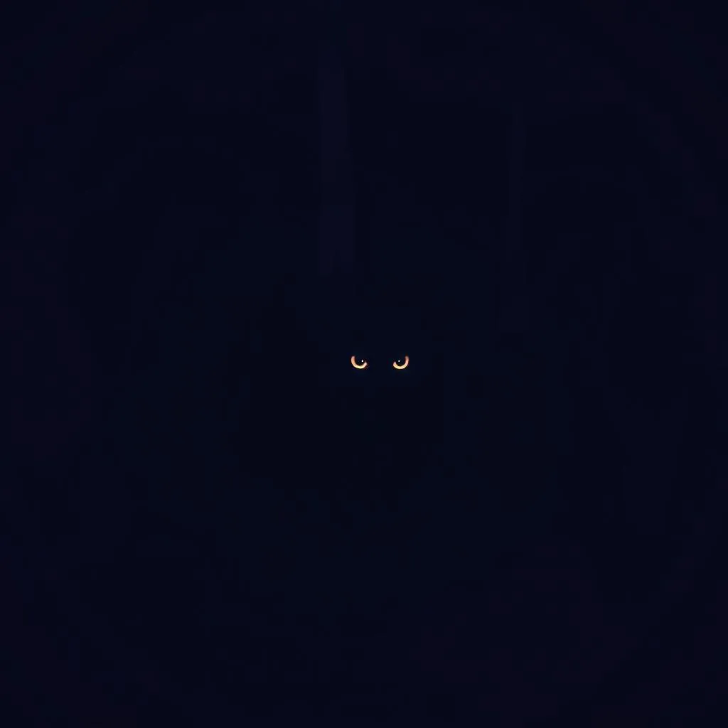 The Black Cat
