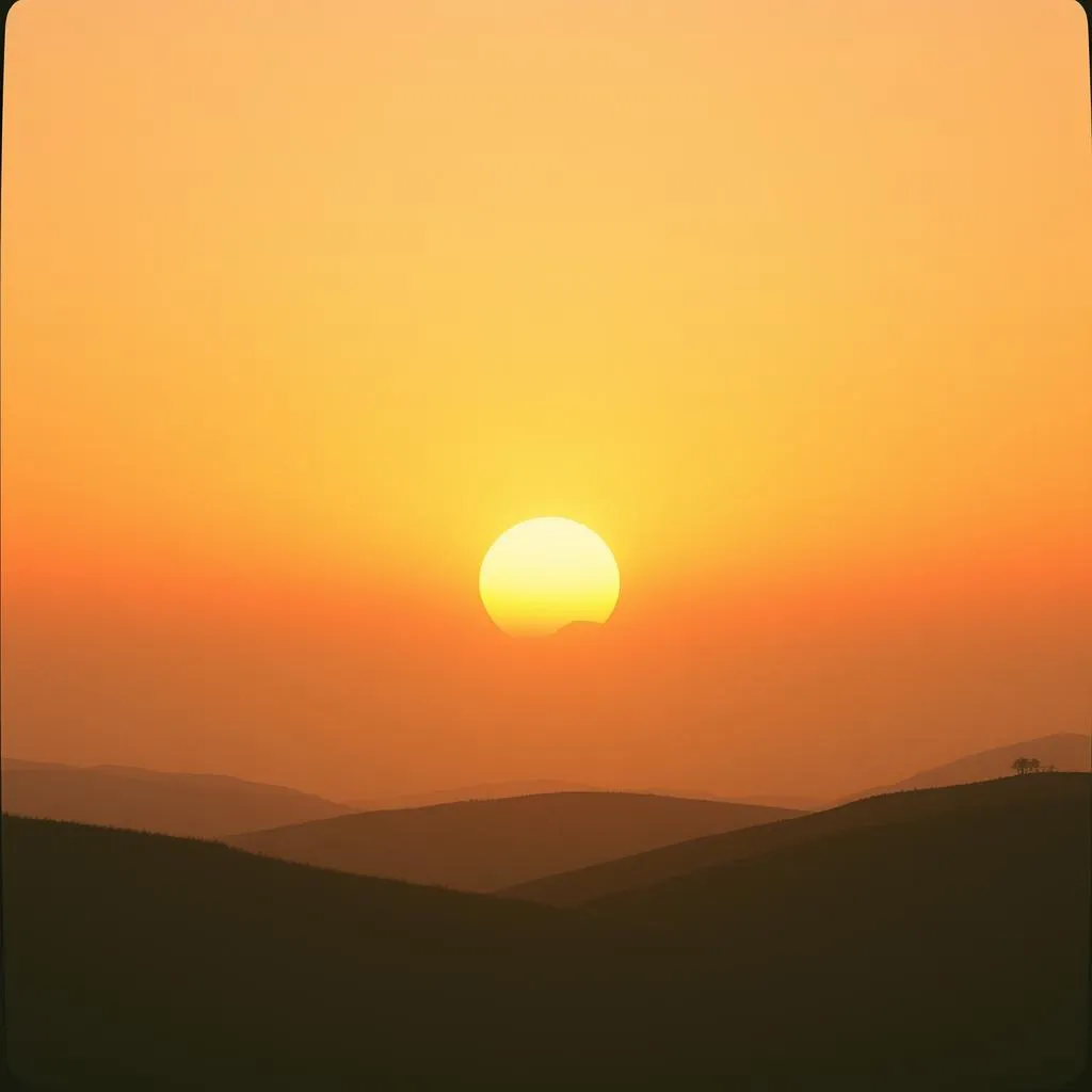 Morning Glory