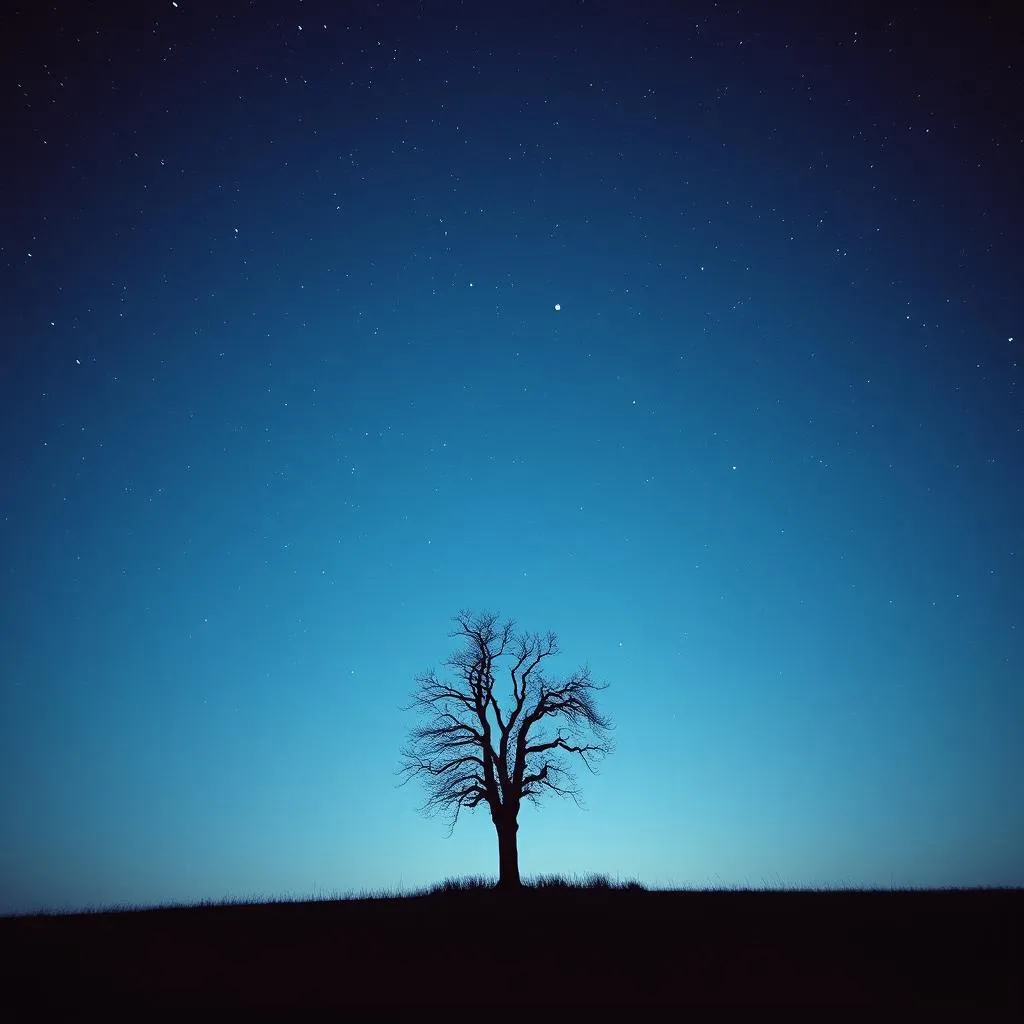 Echoes In The Silence