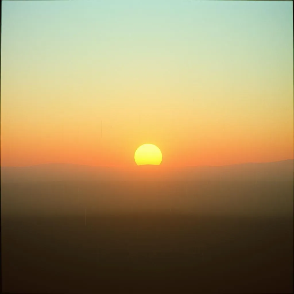 Julien's Sunlight