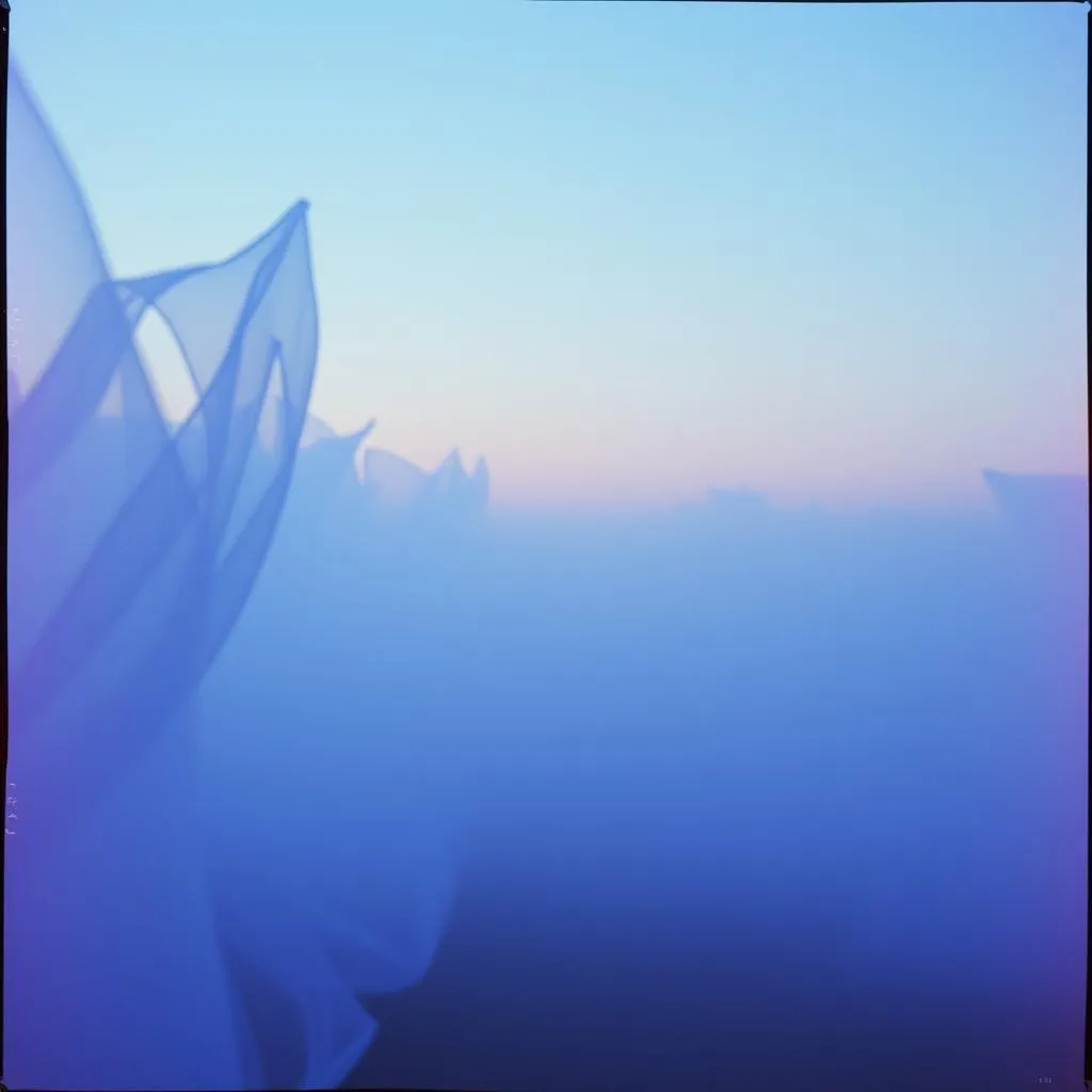 Entre les voiles