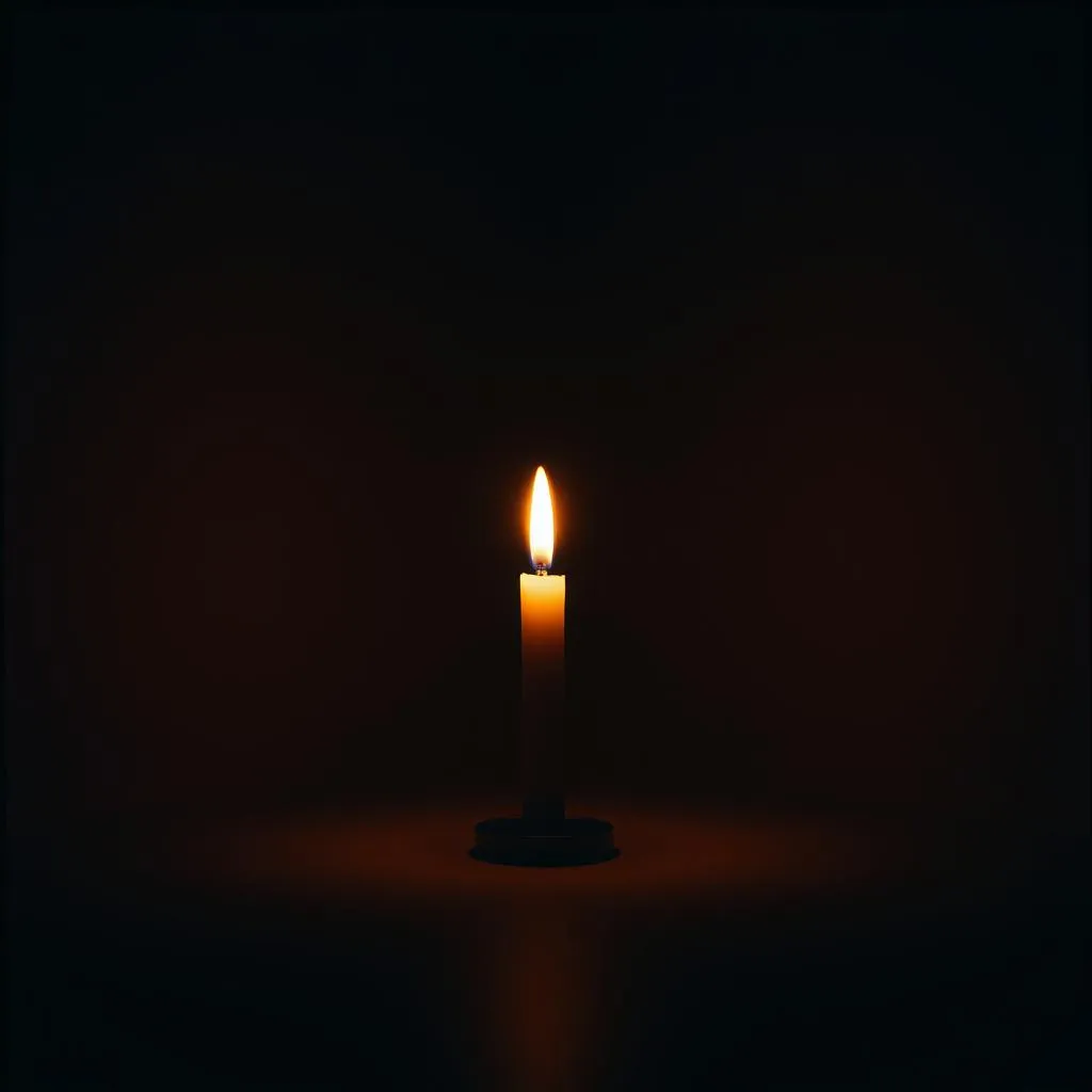 Echoes of the Eternal Flame