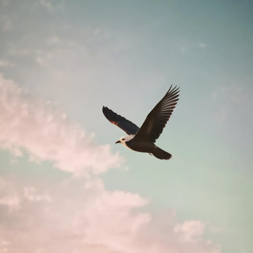 I can fly with you 