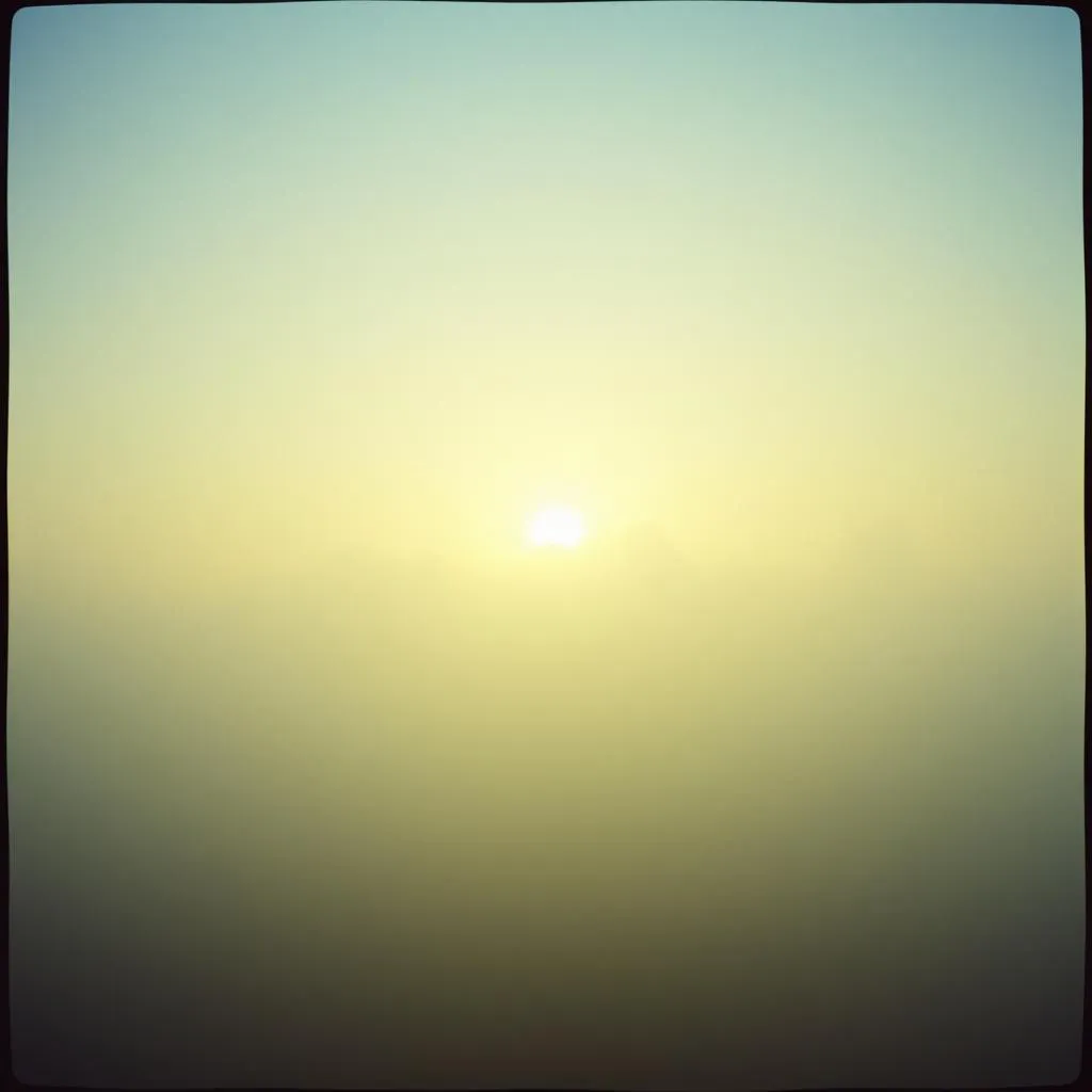 Sunny day in mind