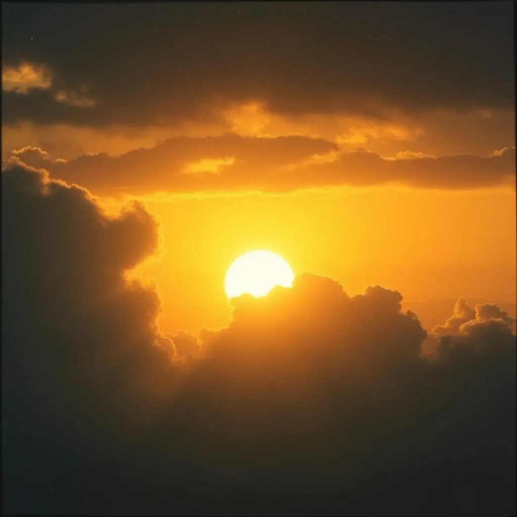 Light Over Shadows