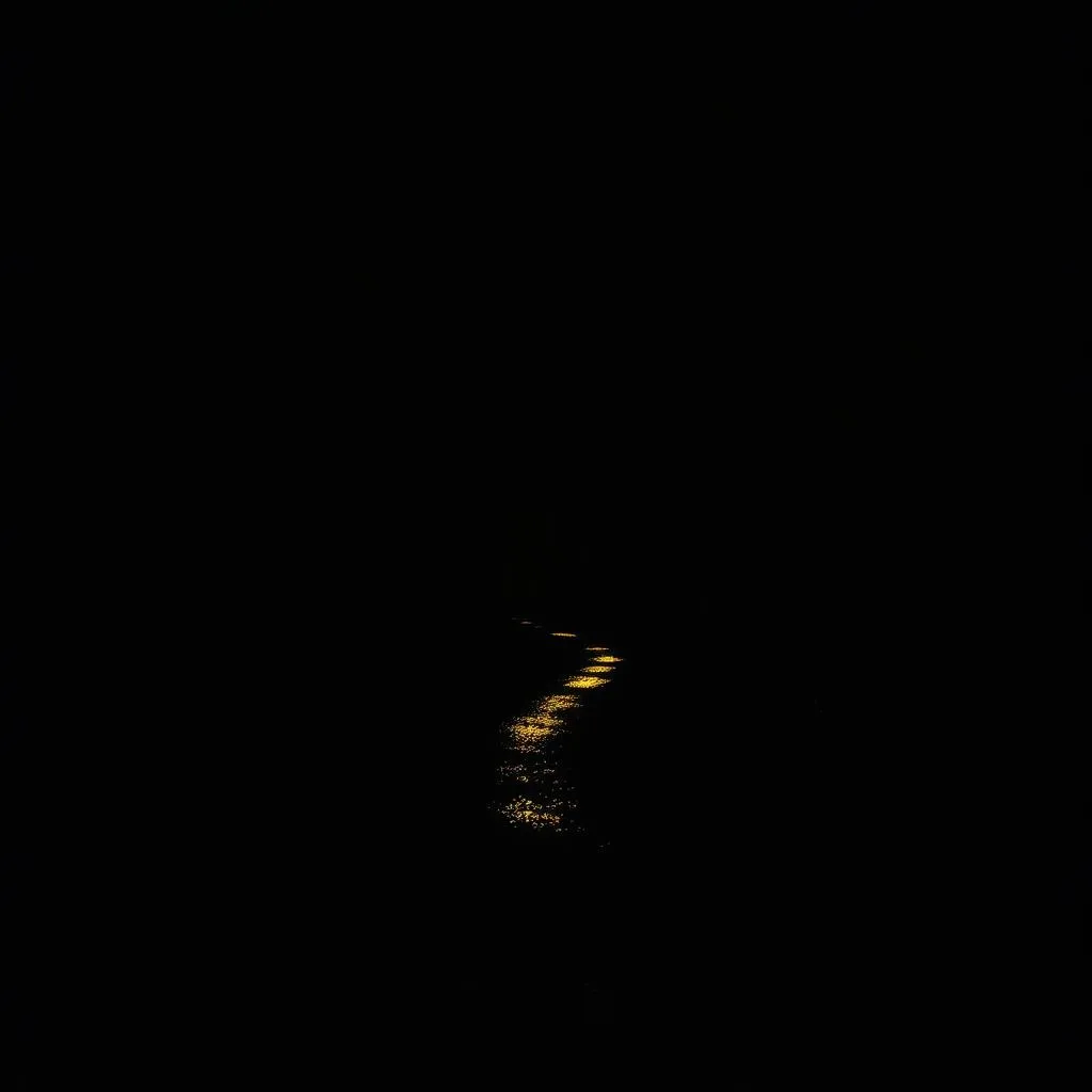 Through the Darkness to the Light