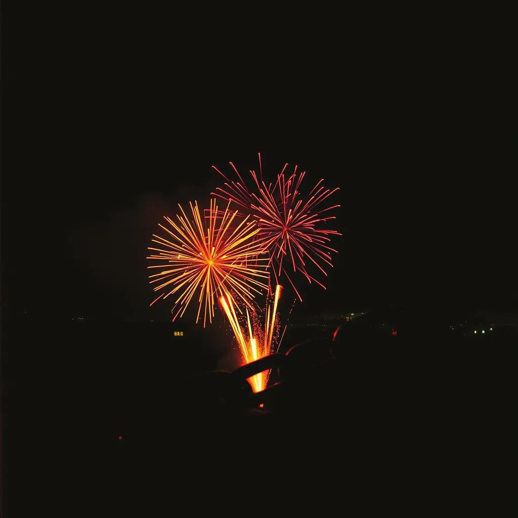STAR - Viva La Revolution (Japan)