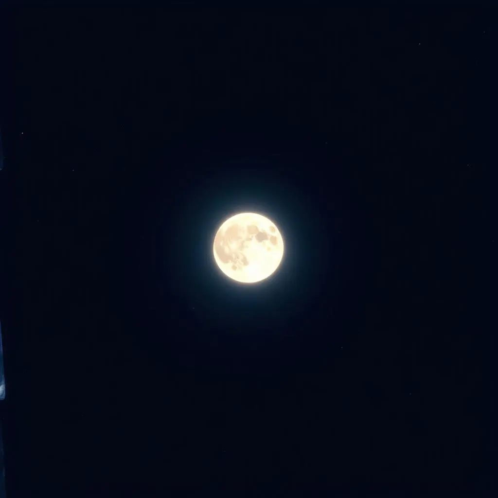 Moon