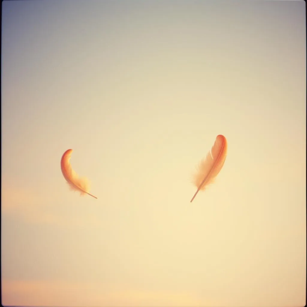 Weightless