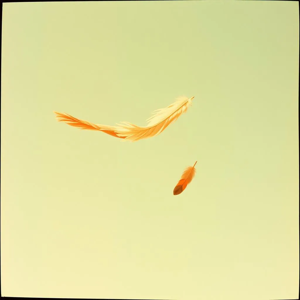 Letting go