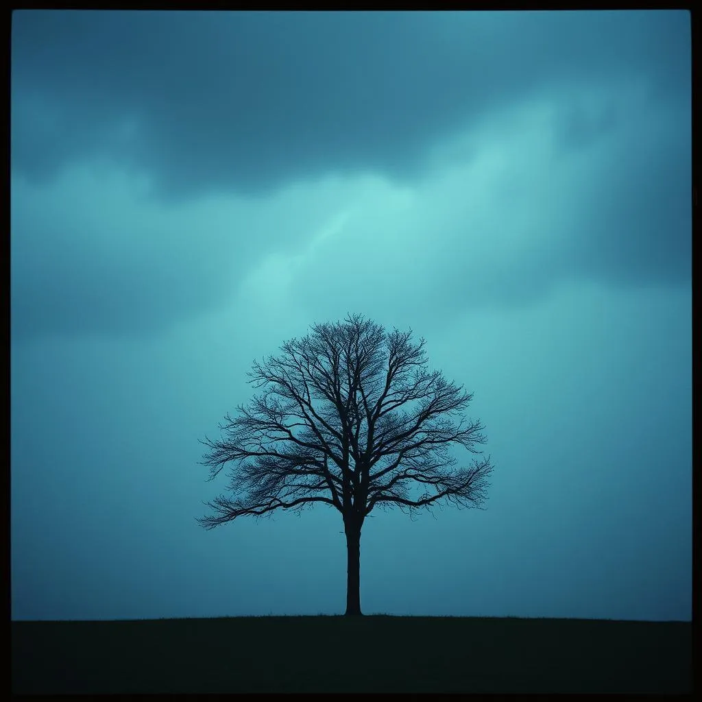Searching for the Light