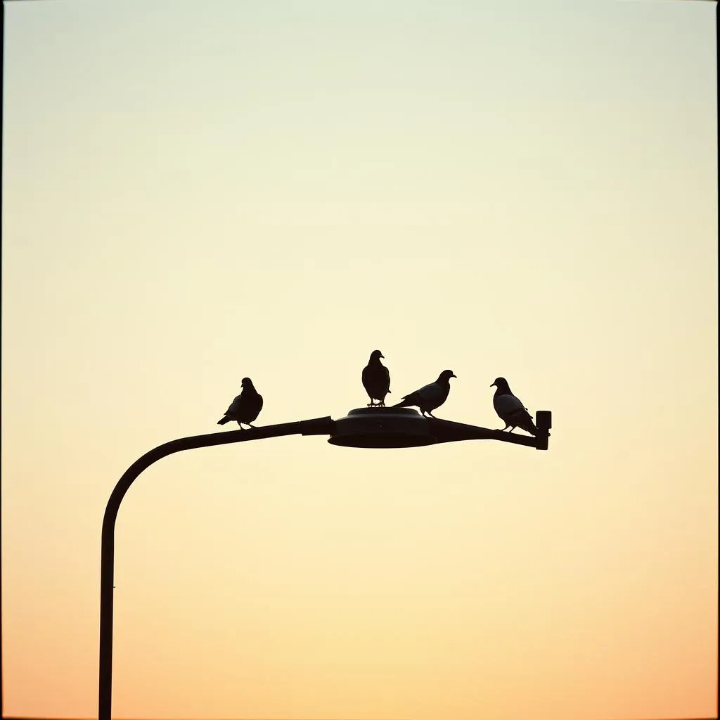 Street Lamp Symphony