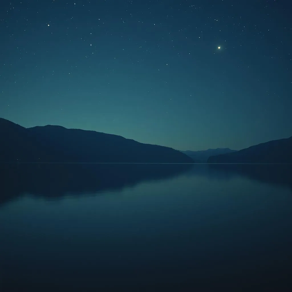 Lost In The Stars