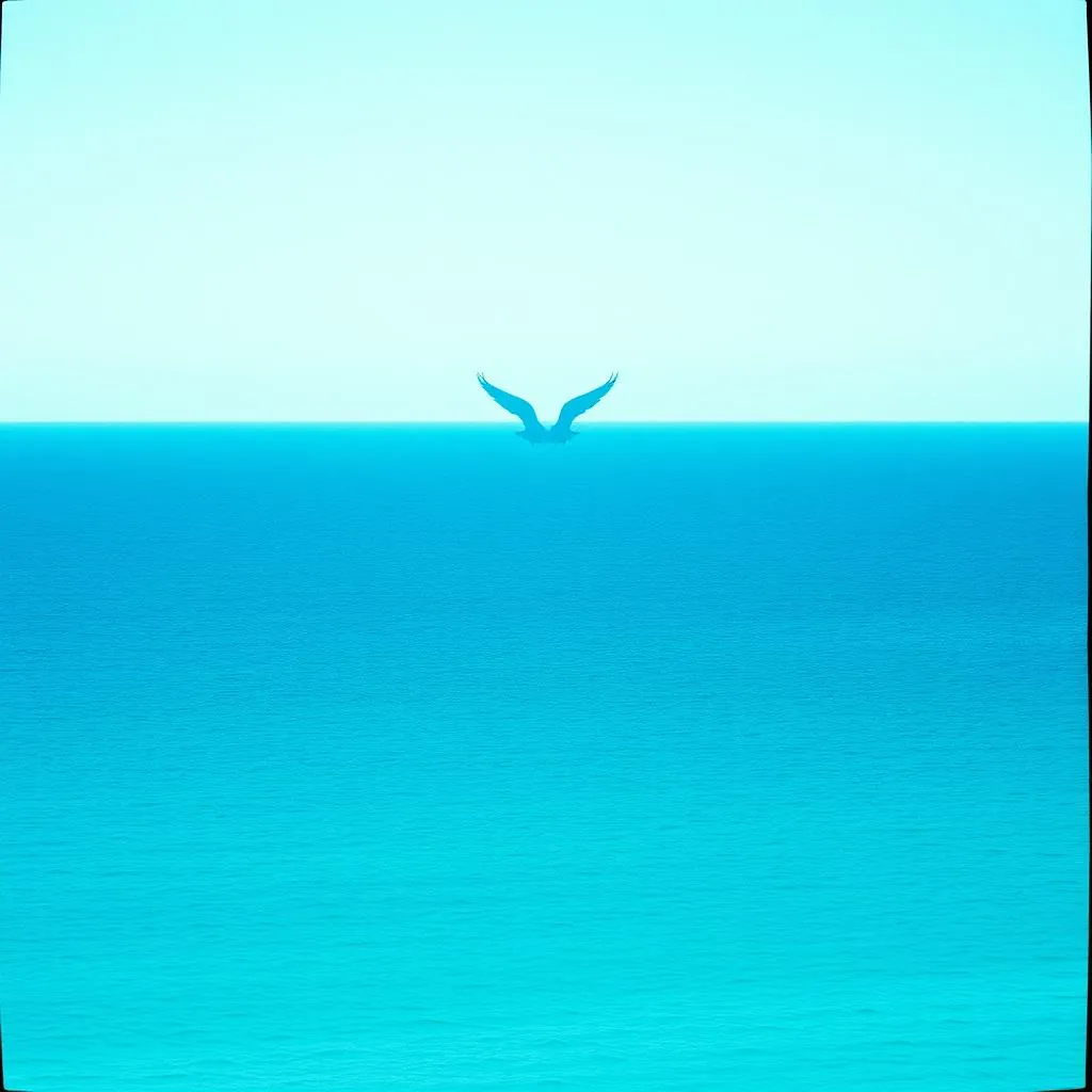 Wings