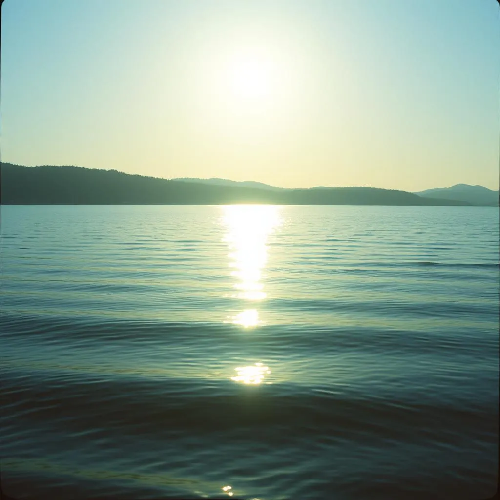 My Peace On Earth