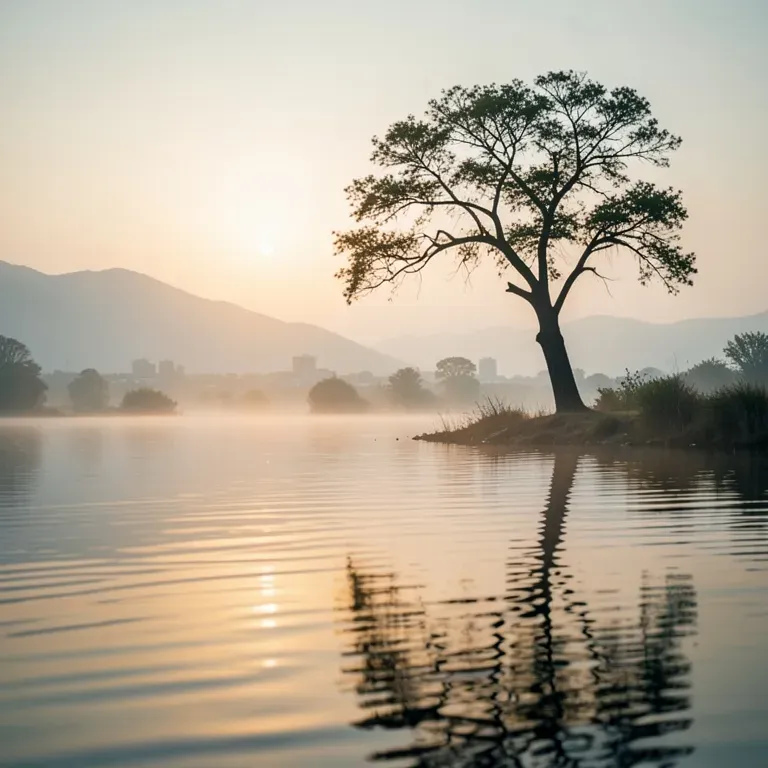 The Waters