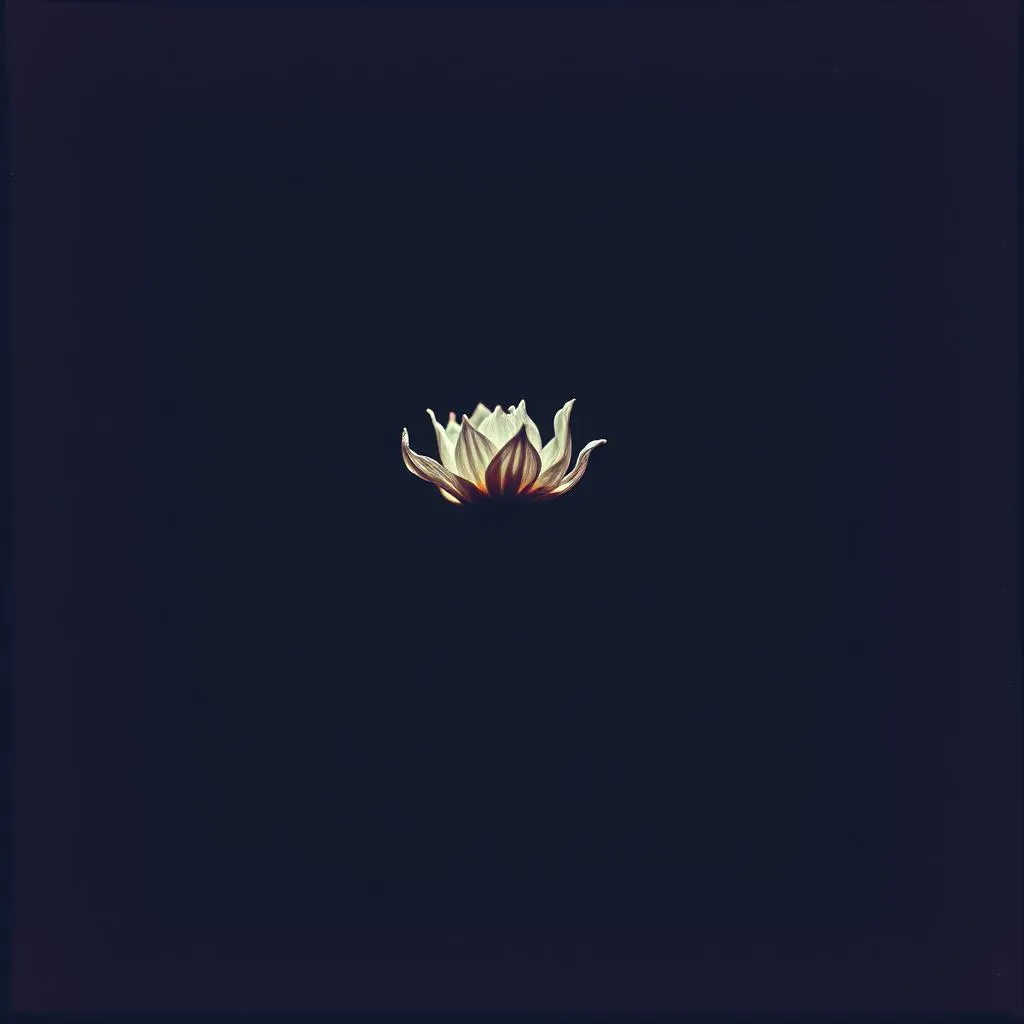 Adieu