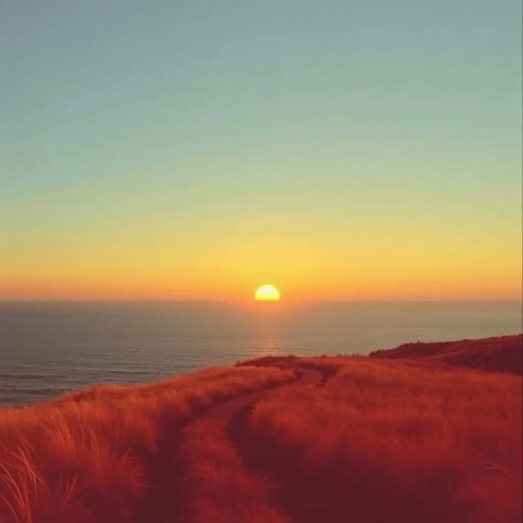 Wanderer's Melody