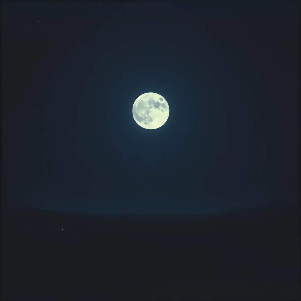 Sorrowful Night Without You