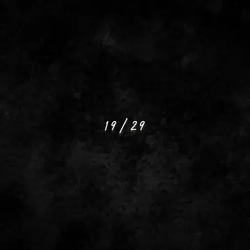 19/29