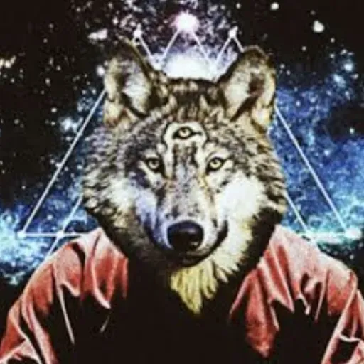 AWARE WOLF