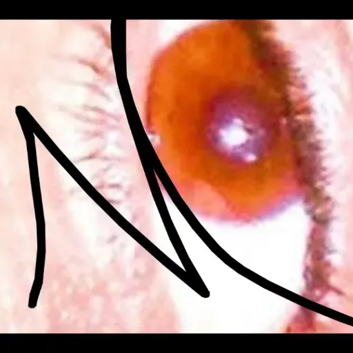 ENEYESENSEOF