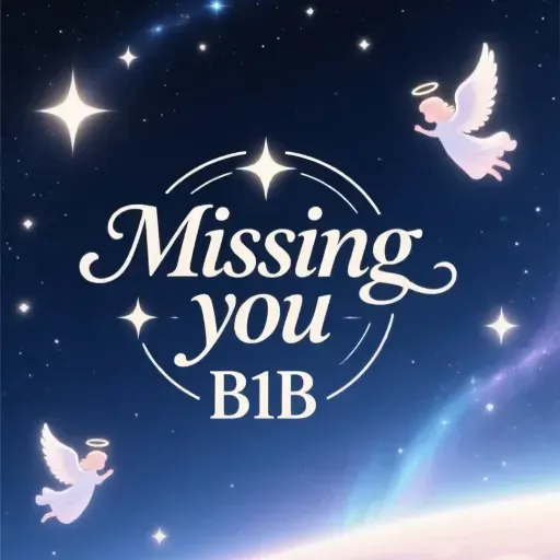 Missing you - Album von B1B