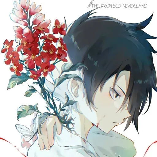 The Promised Neverland (few extra)