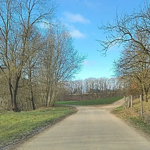 Country