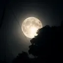 Sadly_Dark