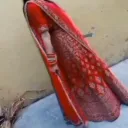 sheetalsinger27