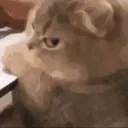 Mmrpiey