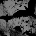 shadow18
