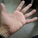Spina