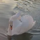 outofjoy