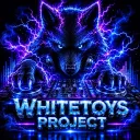 WhitetoysProject198
