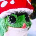 Mushroomfrog