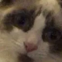 Bennythesixt