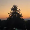 Riley_Goodman_16