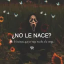 TesitodeCalzon