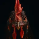 Crazy_bird_lady